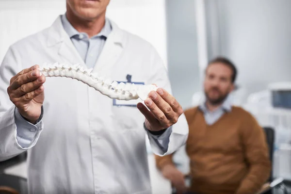 Adult doctor is holding realistic layout of spine — Stock Photo, Image