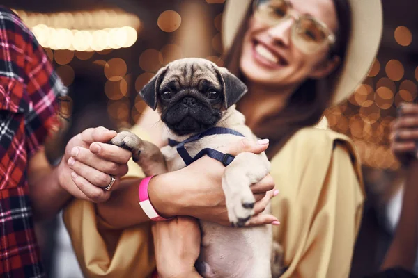 Primer plano de bonito cachorro en las manos de la sonriente dama — Foto de Stock