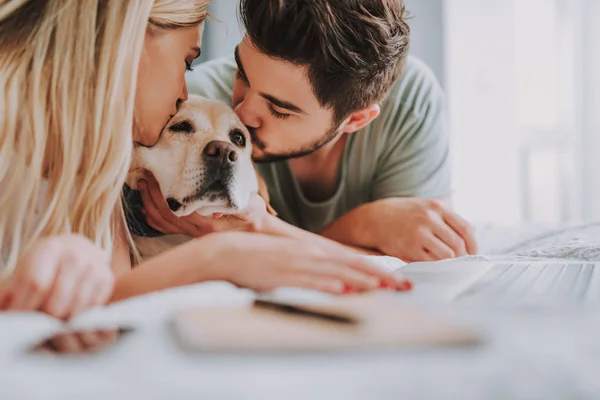 Agradable joven pareja besando a su amado perro en casa — Foto de Stock