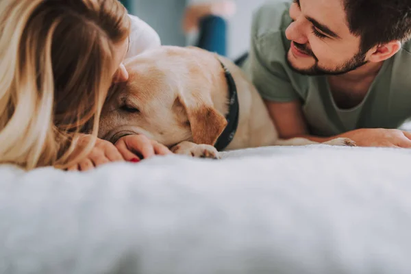 Jovem mulher beijando seu cão amado pela manhã — Fotografia de Stock