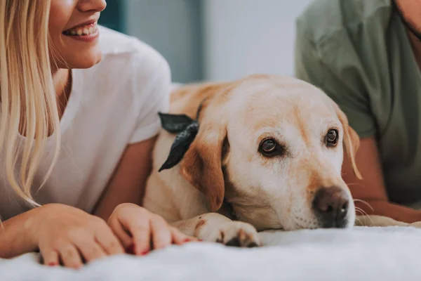 Neşeli genç bir kadın ile bir köpek yatakta yalan yakın çekim — Stok fotoğraf