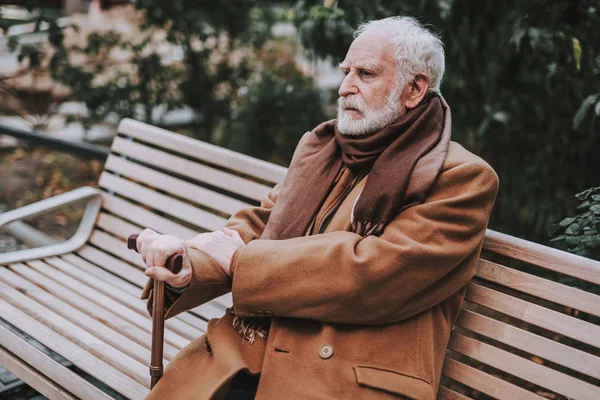 Κομψό γέρος σε παλτό που κάθεται στον πάγκο — Φωτογραφία Αρχείου