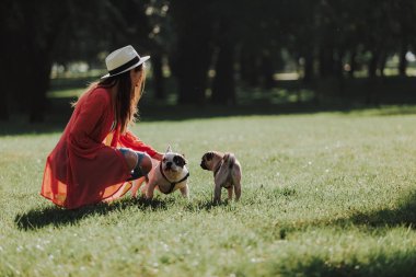 Sevimli kadın parkta köpekler okşayarak