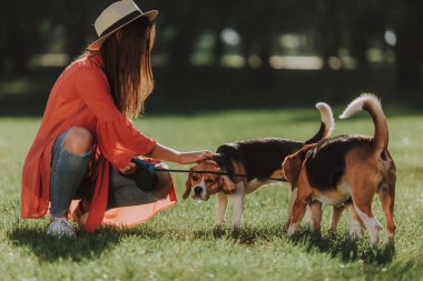 Neşeli kız parkta iki köpek ile oturuyor