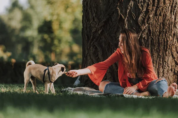 笑っている女の子は彼女の犬のおもちゃ骨に与えています。 — ストック写真