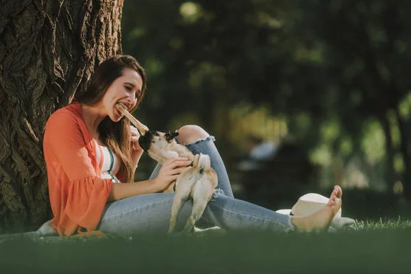 Mujer joven está jugando con perro con hueso de juguete —  Fotos de Stock