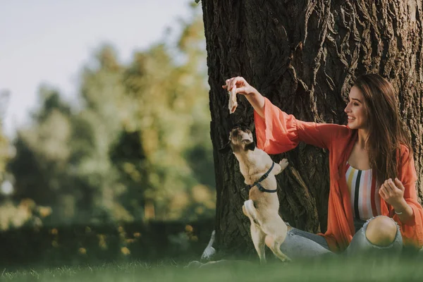 Sorrindo menina está brincando com seu cão — Fotografia de Stock