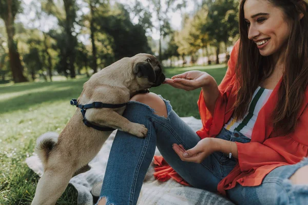 Mujer Sonriente Soleado Parque Está Sentada Sobre Cuadros Alimentando Pequeño — Foto de Stock