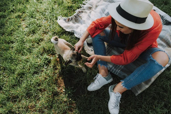 Jeune femme est assise sur plaid avec son chien — Photo