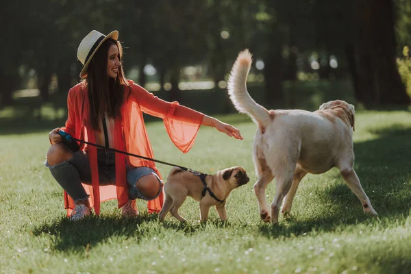 Cheerful woman is playing with two dogs — Stock Photo, Image