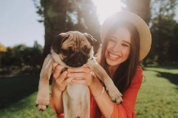 Hermoso lindo pug en manos de su dueño — Foto de Stock