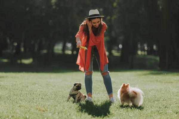 Neşeli Bayan şapka içinde iki köpek ile yürüyor