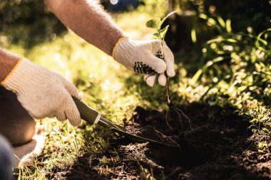 Tarım onun arka bahçesinde sırasında çalışma adam
