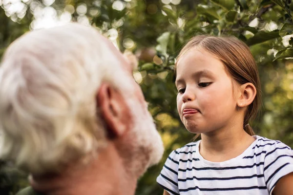Забавная маленькая девочка показывает язык своему дедушке на улице — стоковое фото