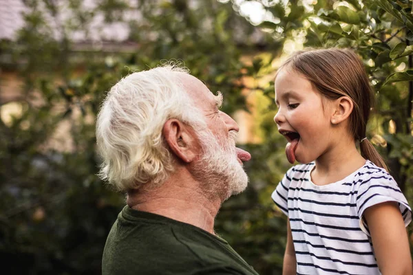 Старший бородатый мужчина веселится со своей внучкой — стоковое фото