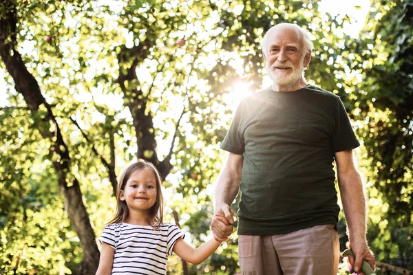 Homem sorridente de velhice segurando a mão de seu pequeno neto — Fotografia de Stock