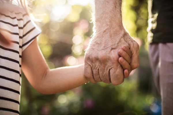 Mains d'enfant et de vieil homme au feuillage flou sur fond — Photo