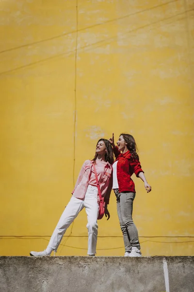 Dos chicas hipster felices se quedan en el parapeto —  Fotos de Stock