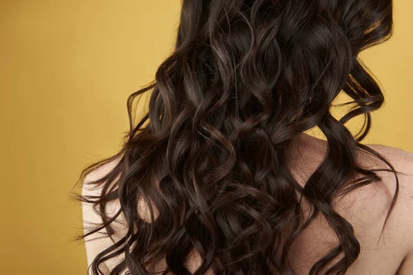 Rückseite Porträt von hübschen brünetten lockigen Haaren — Stockfoto