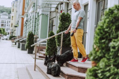 Olgun gri saçlı adam açık havada siyah köpekler ile kalıyorum