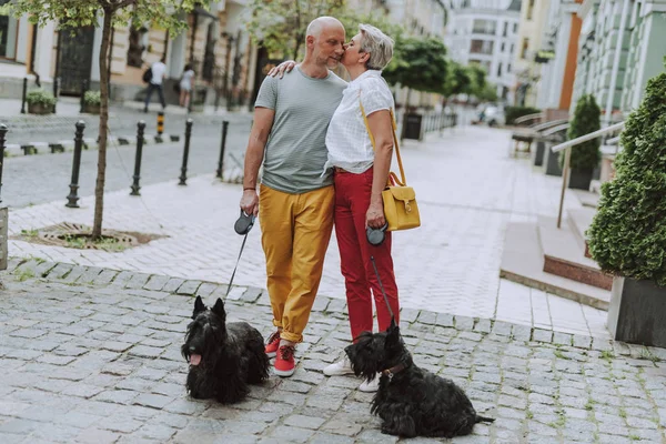 Feliz pareja adulta con dos perros paseando por la calle — Foto de Stock