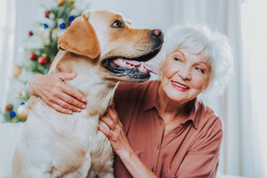 Evde bir labrador bakarak yaşlı kadın