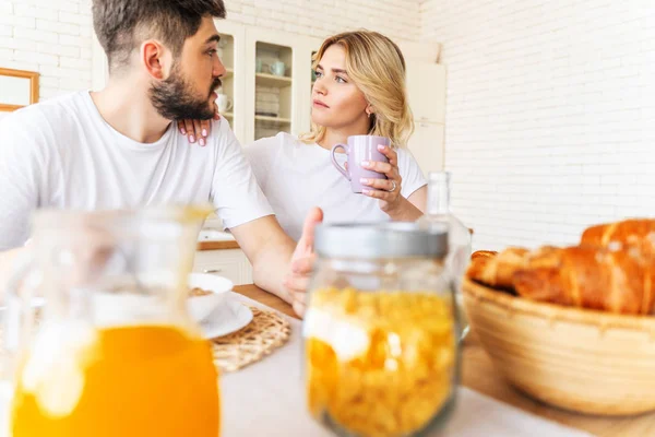 Lovely par chattar i köket — Stockfoto