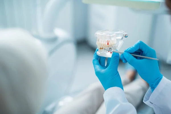 El dentista está examinando un modelo de mandíbula en la habitación — Foto de Stock