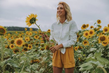 Genç güzel bayan yaz aylarında alanında güzel ayçiçeği ile fotoğraf çekmek