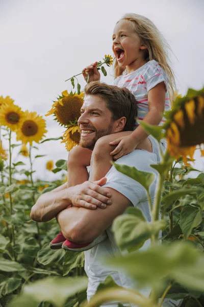 Beau jeune papa marchant dans le champ de tournesols — Photo