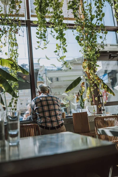 Back of man in the cafe in front of the window stock photo — Stock Photo, Image