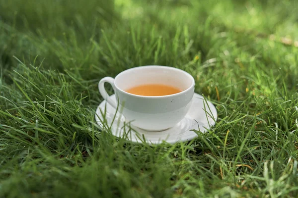 Bílý šálek čaje na zelené trávě — Stock fotografie