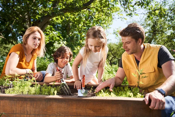 Adorable kids planting flowers with parents in garden — Stock Photo, Image