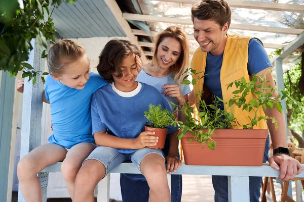 Щаслива сім'я з рослинами проводить час разом на відкритому повітрі — стокове фото