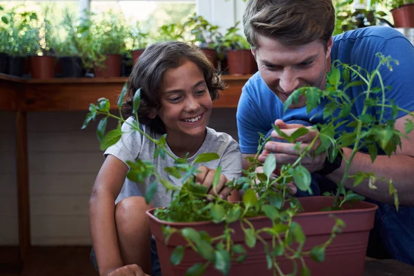 Alegre padre e hijo cuidando de las plantas en casa — Foto de Stock