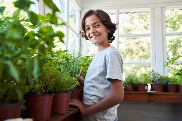 Chico alegre cuidando plantas en naranjería — Foto de Stock