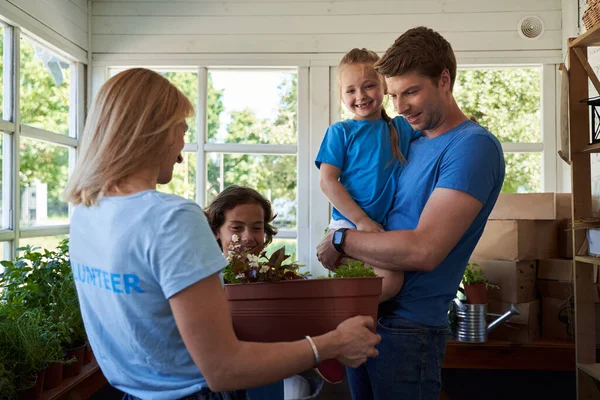 Щаслива сім'я дивиться на кімнатну рослину в оранжереї — стокове фото