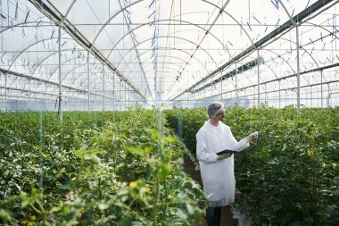 Serada çalışan aletli genç bir bilim adamı.