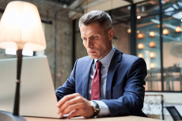 Vuxen affärsman som arbetar på bärbar dator — Stockfoto