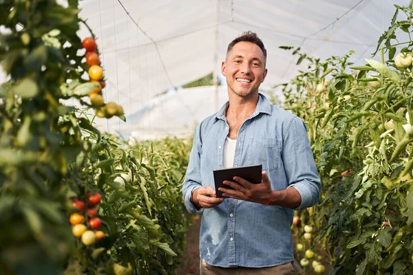 Male farmer with tablet in greenhouse