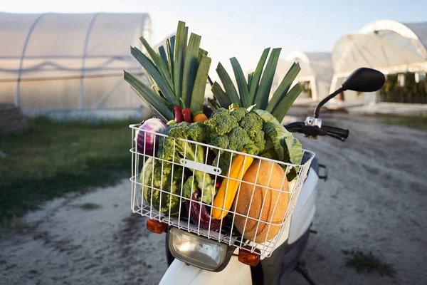 Scooter met groenten en fruit in mandje — Stockfoto