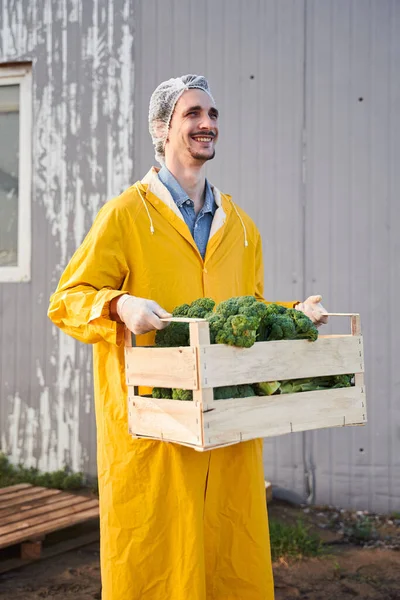Joyeux jeune homme portant récolte de légumes à la ferme — Photo