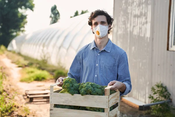 Jeune homme bouclé cueillant des légumes à la ferme — Photo