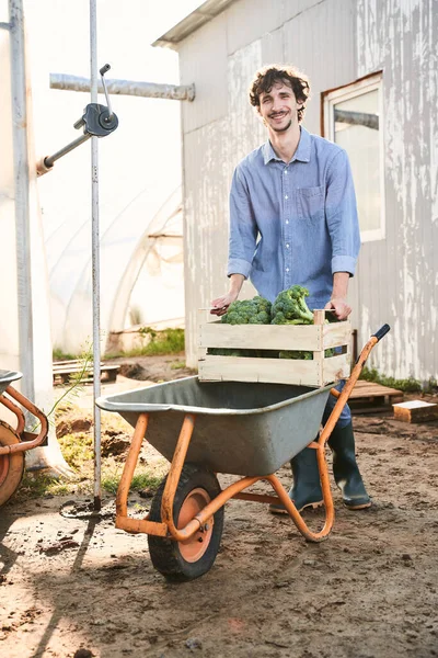 Heureux jeune homme se réjouissant de la récolte à la ferme — Photo
