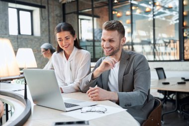 Genç iş arkadaşları dizüstü bilgisayara bakıyor.