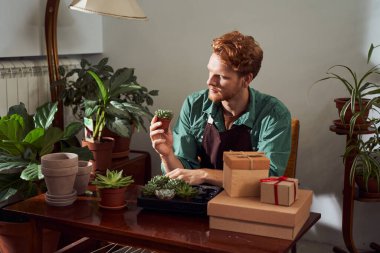 Çiçekçi kaktüslerle ilgileniyor.