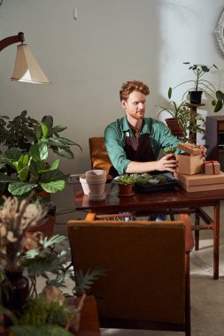 Kutulara kaktüs koyan çiçekçi.