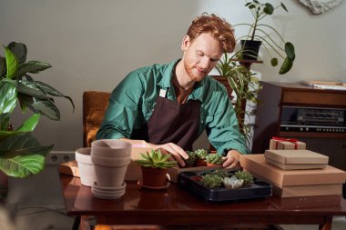 Çiçekçi kaktüslerle ilgileniyor.