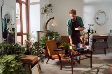 Çiçekçi bitkilerle kutuları topluyor.