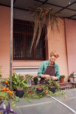 Barista dışarıdaki bitkilerle ilgileniyor.